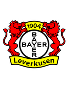 Leverkusen arması