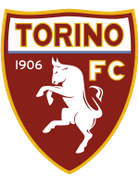 Torino arması
