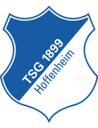 Hoffenheim arması